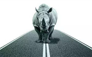 臣通觀點丨小心，中國產(chǎn)業(yè)園區(qū)的“灰犀?！庇謥砹耍?/>
							</a>
						</div>
						<div   id=