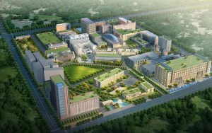 臣通觀點丨華夏幸福，誰主沉浮？